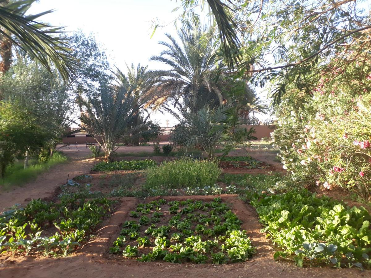 Bed and Breakfast Dar Paru M'Hamid Esterno foto
