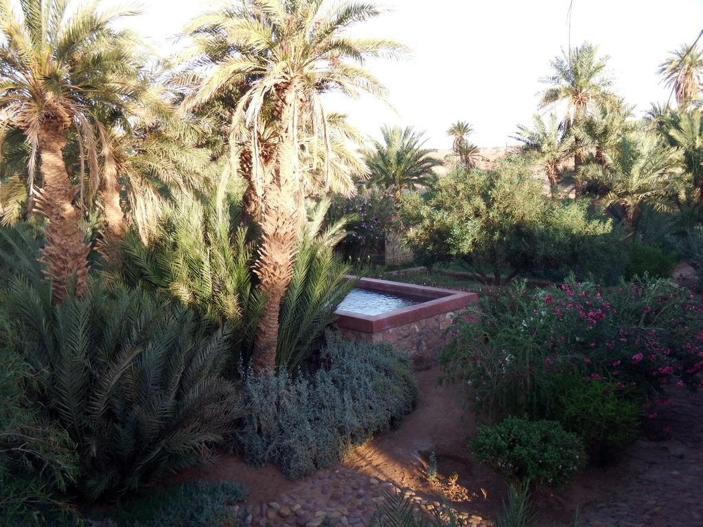 Bed and Breakfast Dar Paru M'Hamid Esterno foto