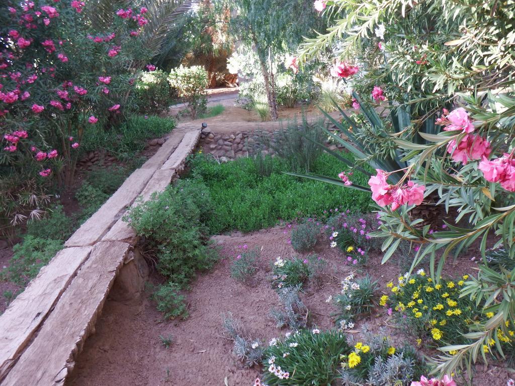 Bed and Breakfast Dar Paru M'Hamid Esterno foto
