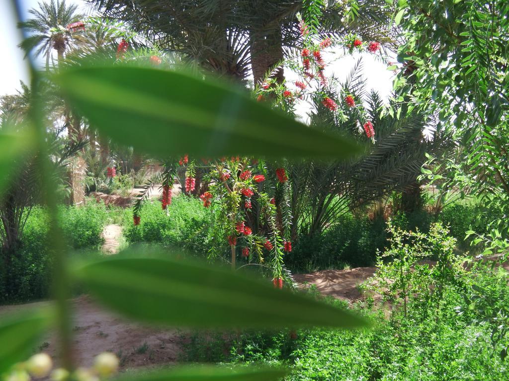 Bed and Breakfast Dar Paru M'Hamid Esterno foto