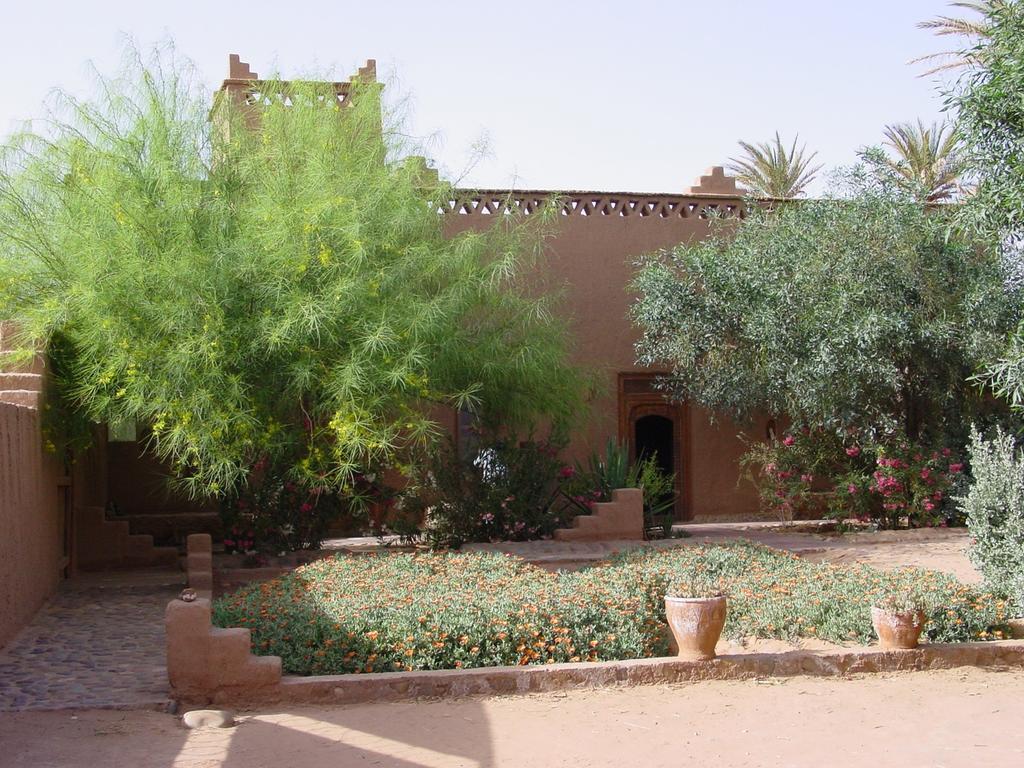 Bed and Breakfast Dar Paru M'Hamid Esterno foto