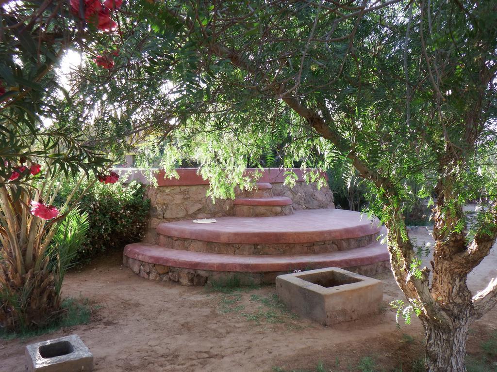 Bed and Breakfast Dar Paru M'Hamid Esterno foto