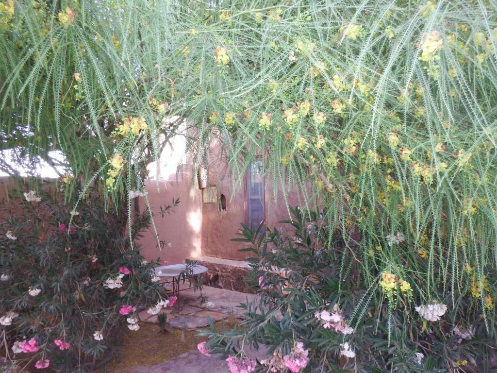Bed and Breakfast Dar Paru M'Hamid Camera foto