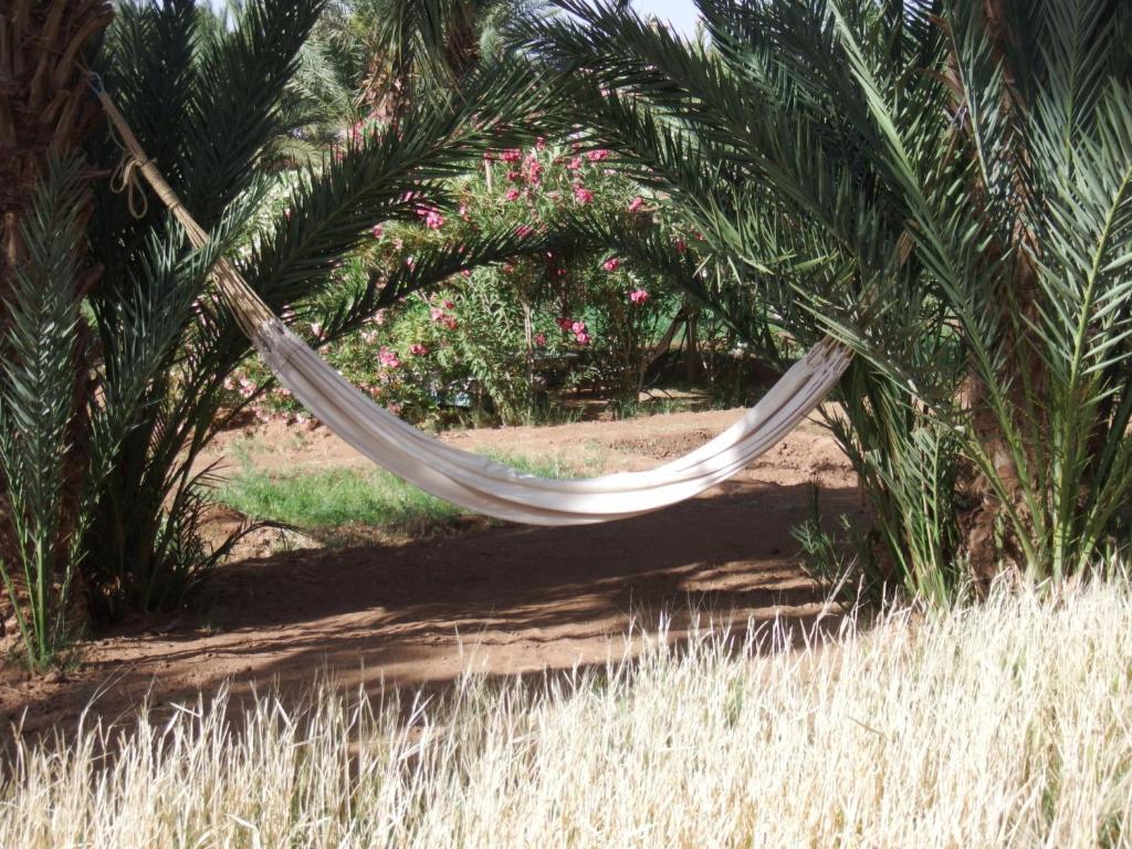 Bed and Breakfast Dar Paru M'Hamid Esterno foto