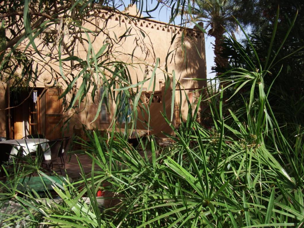 Bed and Breakfast Dar Paru M'Hamid Esterno foto